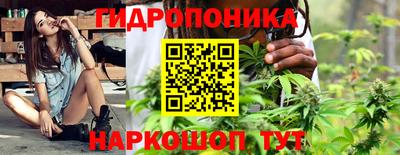 круглые Новодвинск