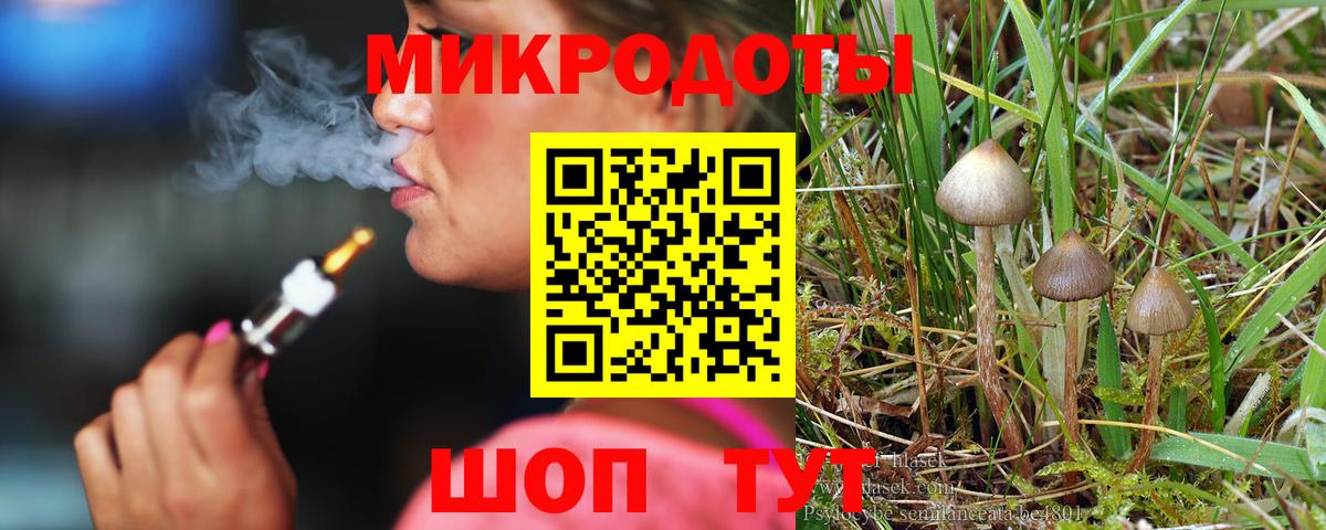 Галлюциногенные грибы Psilocybine cubensis  Вход с VPN  Севастополь 